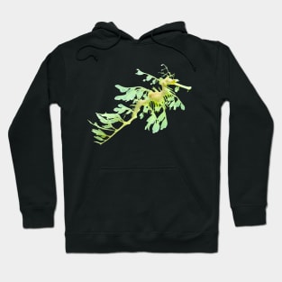 Seadragon Seahorse Green Hoodie